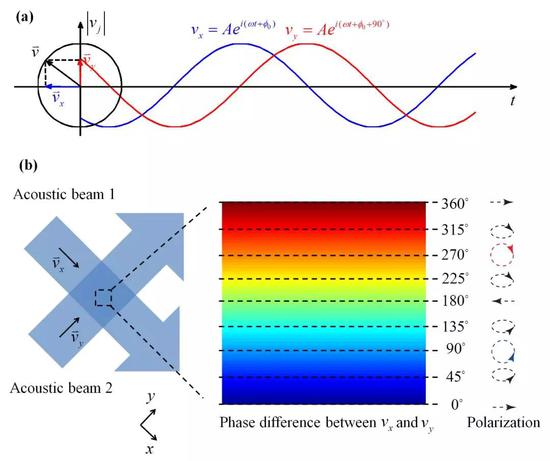 声波自旋。（a）相差90度相位的局域速度场垂直分量产生旋转偏振从而导致声波自旋。（b）两束垂直相干的声波中的自旋场。