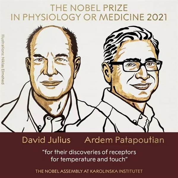 诺贝尔生理学或医学奖揭晓：两位科学家获奖、发现温度与触觉感受器