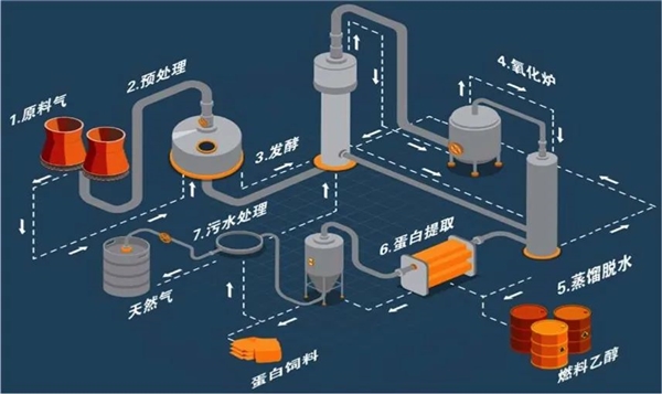 中国用尾气合成出蛋白质 这个全球首次的技术为啥还被喷了？